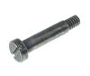HINGE SCREW