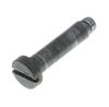 HINGE SCREW