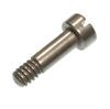 BRIDLE SCREW