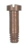 BRIDLE SCREW