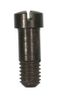 BRIDLE SCREW