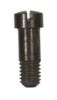 BRIDLE SCREW