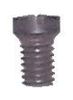 MAINSPRING SCREW