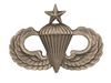 SENIOR PARACHUTIST WINGS