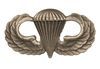 PARACHUTIST WINGS